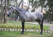 4W5A7651 (Copiar)